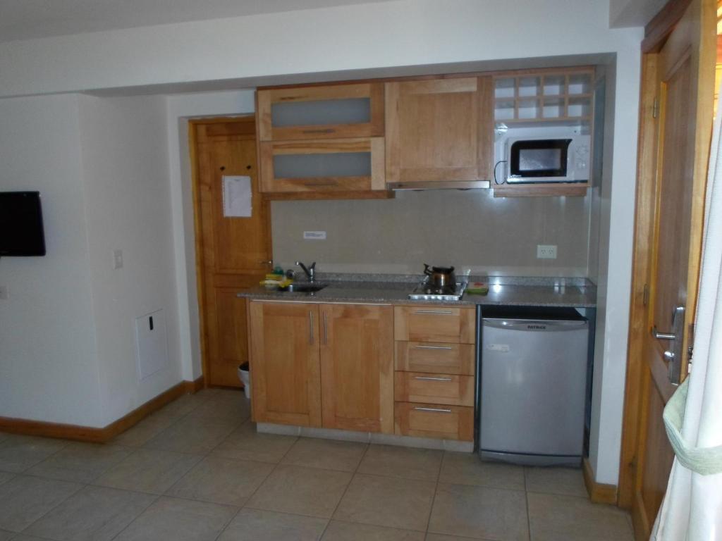 Apart Hotel Robles Del Sur San Martin de los Andes Ruang foto